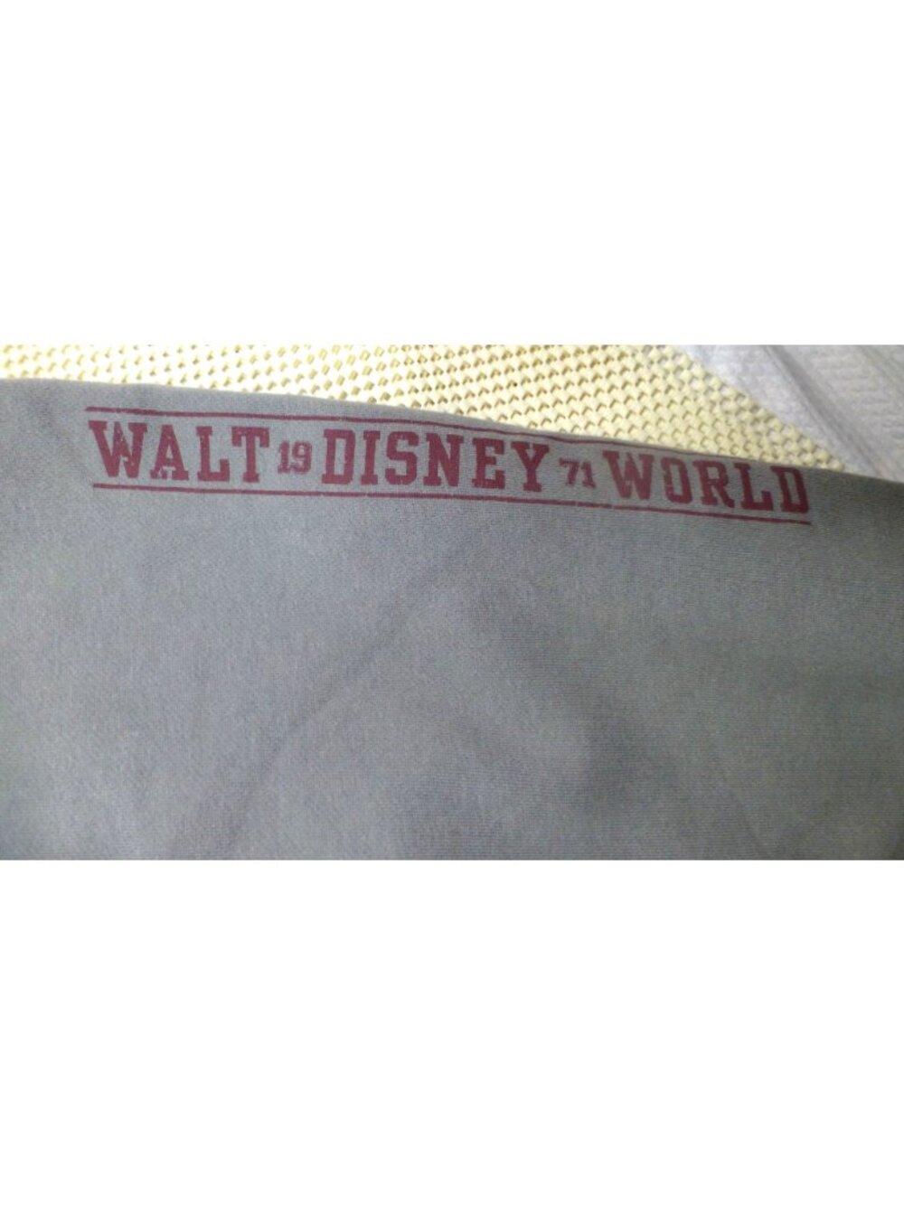 Disney Parks Gray Full Zip-Up Hoodie 1971 Walt Disney World Large Authentic - Picture 14 of 16